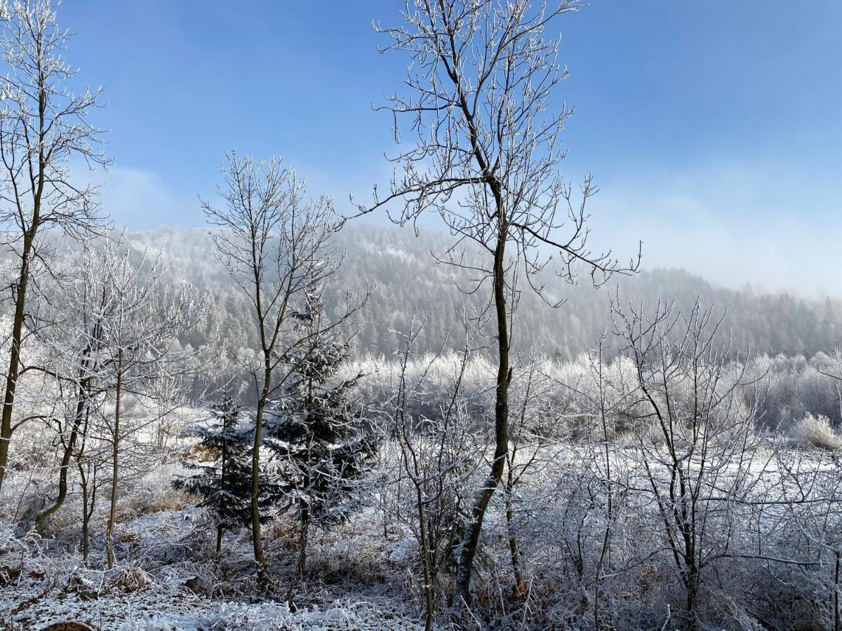 Pokoje Goscinne Pod Jaworem - Obok Pieknego Szlaku Wzdluz Rzeki Bialka, 1Km Do Stokow Kotelnica Екстер'єр фото